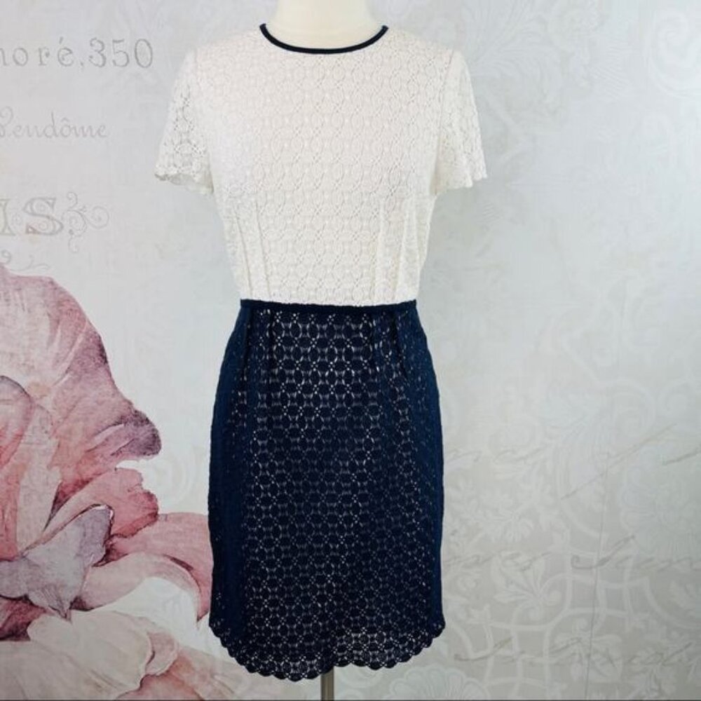 Calvin Klein Navy White Lace Dress Size 10